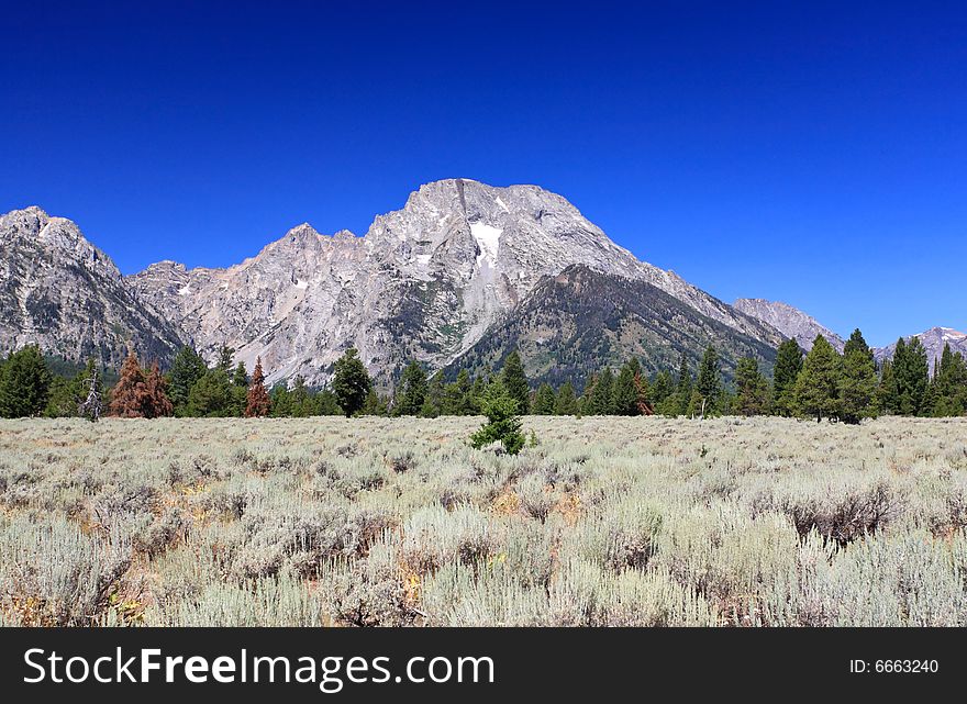 The Grand Teton National Park in Wyoming
