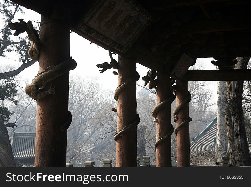 dragon wood columns