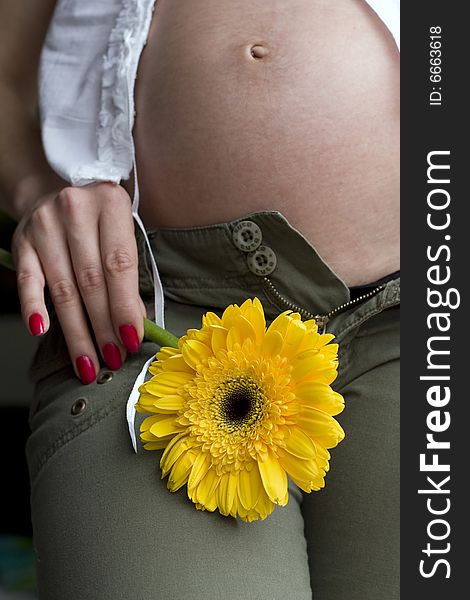 Close up of a pregnant woman's belly with a flower. Close up of a pregnant woman's belly with a flower