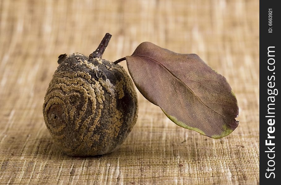 Rotten apple close-up isolated on brown background