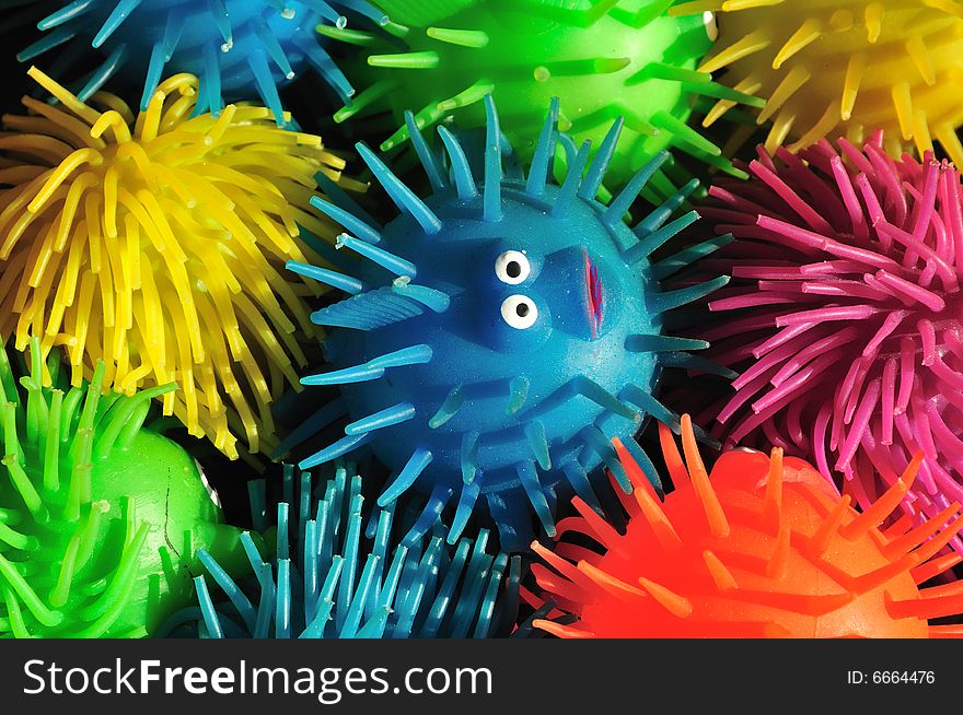 One wide-eyed squishy puffer fish lost in a sea of color. One wide-eyed squishy puffer fish lost in a sea of color