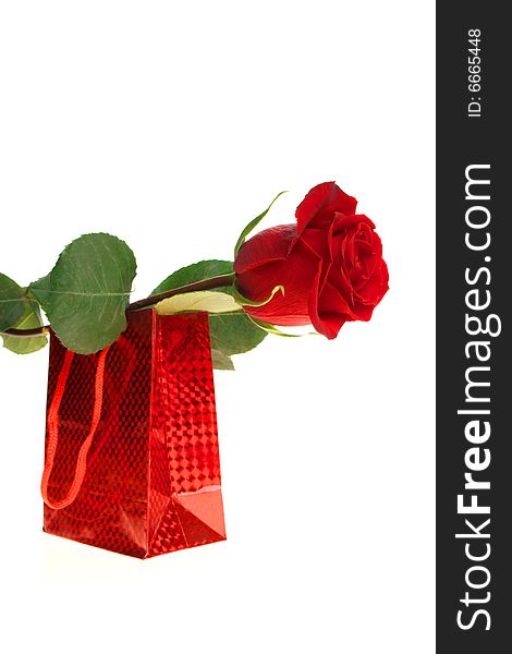 Gift Box And Rose, Isolated