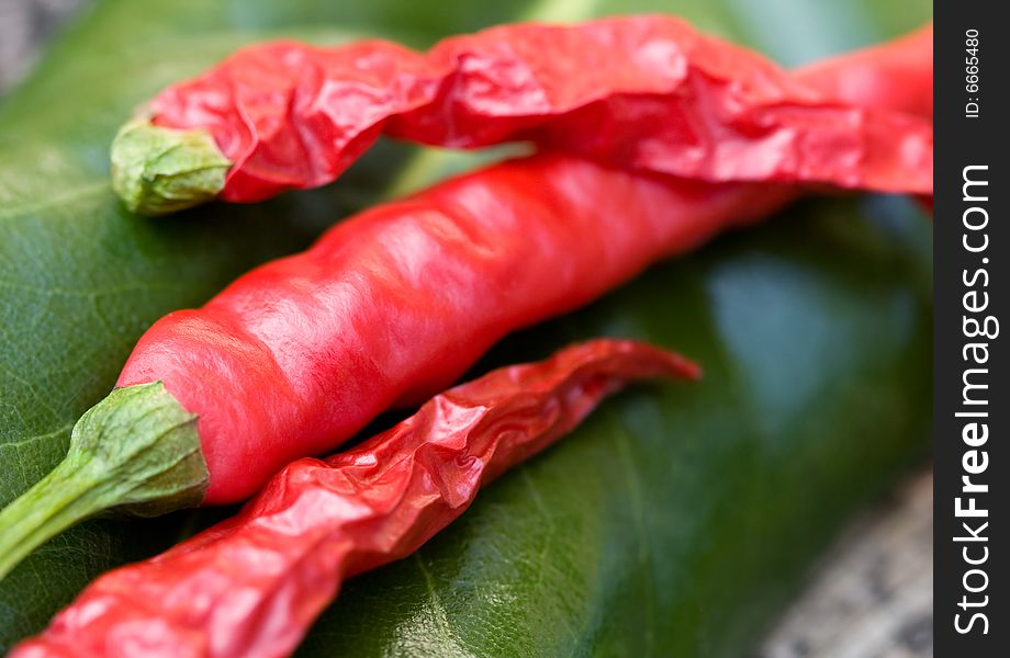 Close-up of fresh and dried red hot chili peppers in a natural setting.