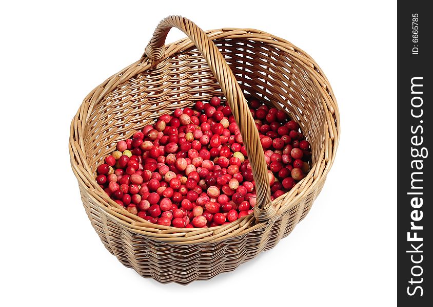 Berry in basket