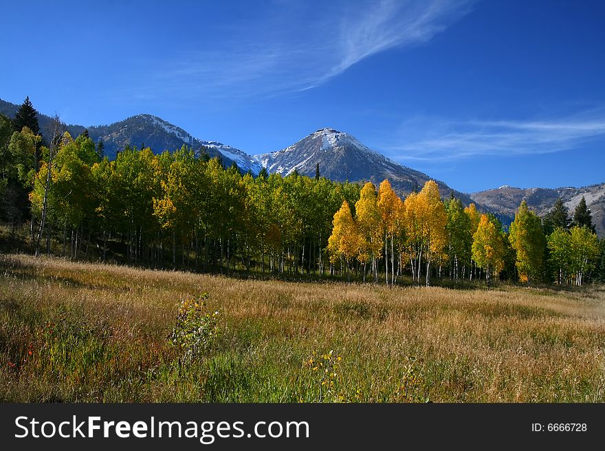 Mountain Meadow in the fall with blue skys. Mountain Meadow in the fall with blue skys