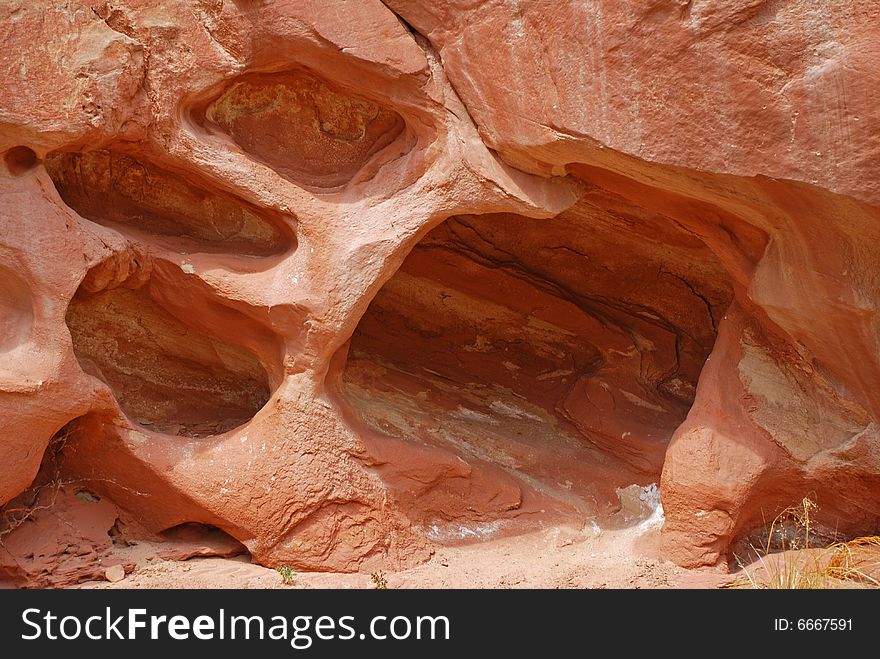 Water eroded impression of paw print in red rock of a slot canyon in Capitol Reef National Park, Utah. Water eroded impression of paw print in red rock of a slot canyon in Capitol Reef National Park, Utah