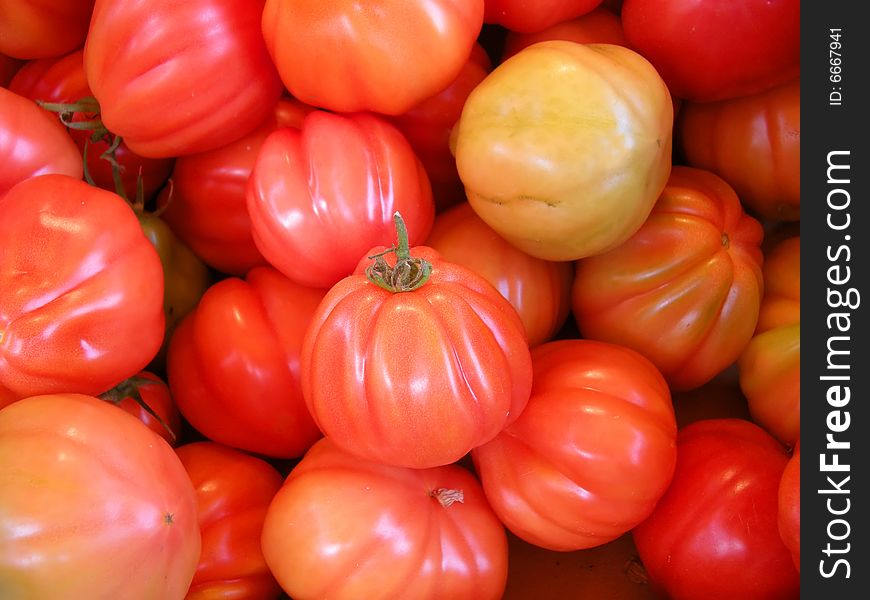 Fresh Red Tomatoes