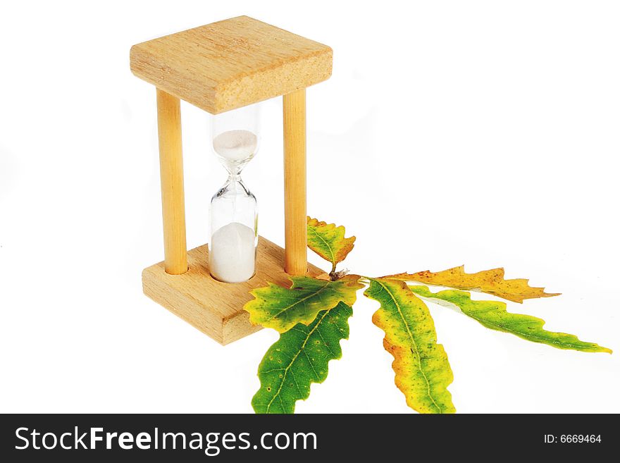 Egg Timer And Leaves