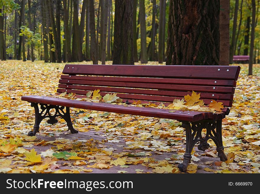 Bench in autumn park