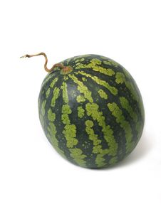 Water-melon Stock Photography