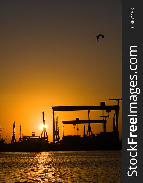 Silhouettical harbour at sunset with seagull flying above