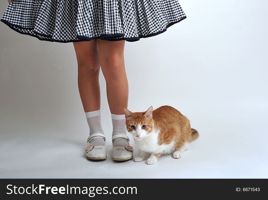 A girls legs and his cat standing side by side. A girls legs and his cat standing side by side