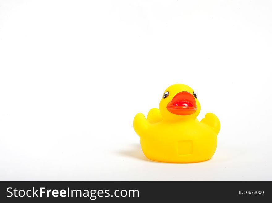 Close up of yellow rubber duck on white background