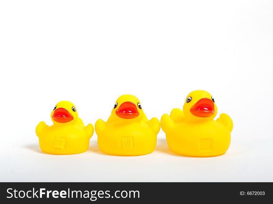 Close up of yellow rubber duck leading two smaller rubber ducks