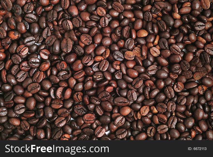 Close up of coffee beans - close up