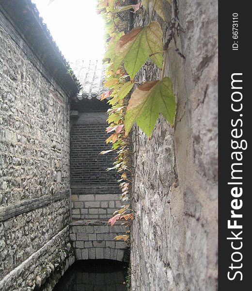 A corner of Baotu spring park in Jinan city