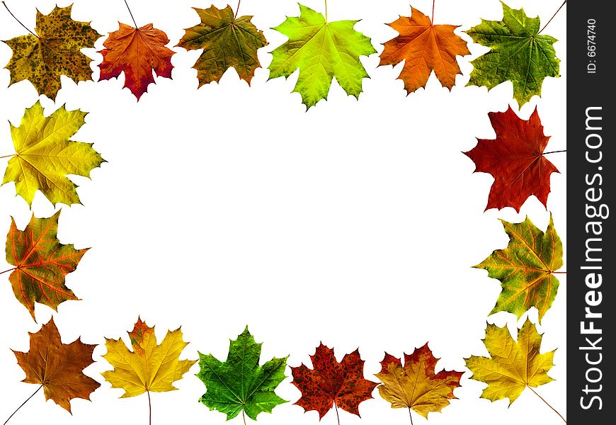 Frame from different colors autumn leaves on a white background. Frame from different colors autumn leaves on a white background.