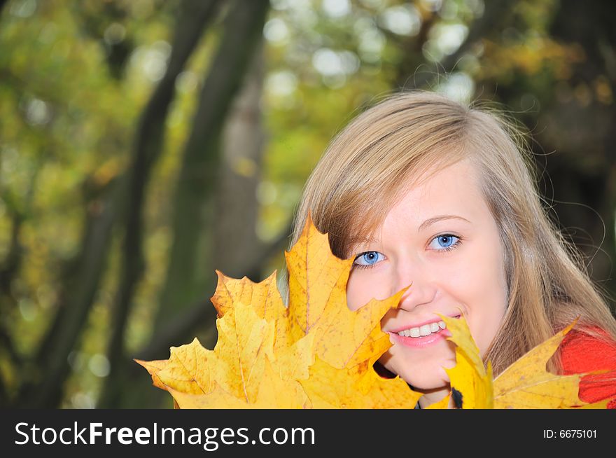 Nice girl with yellow maple's leaves. Nice girl with yellow maple's leaves