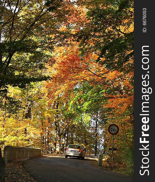 Autumn road with forest tunnel. Autumn road with forest tunnel
