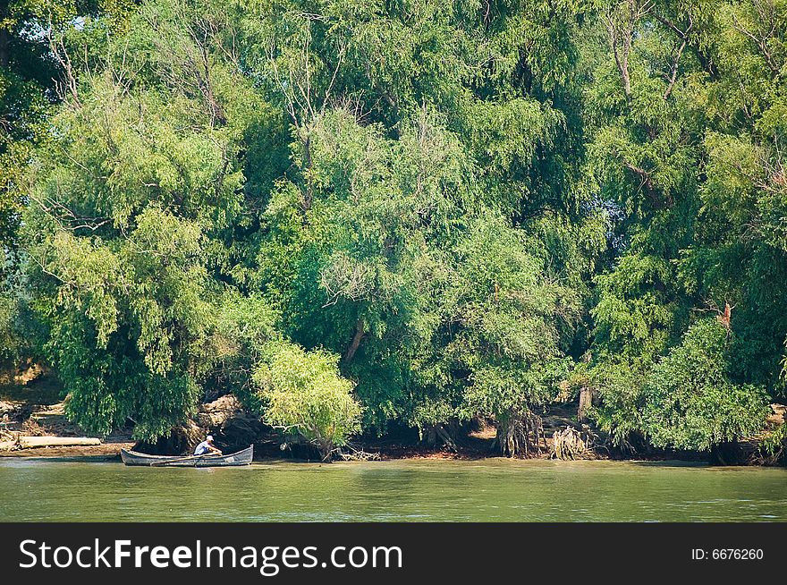 The Delta of Danube and a man in a boat passing by some trees. The Delta of Danube and a man in a boat passing by some trees