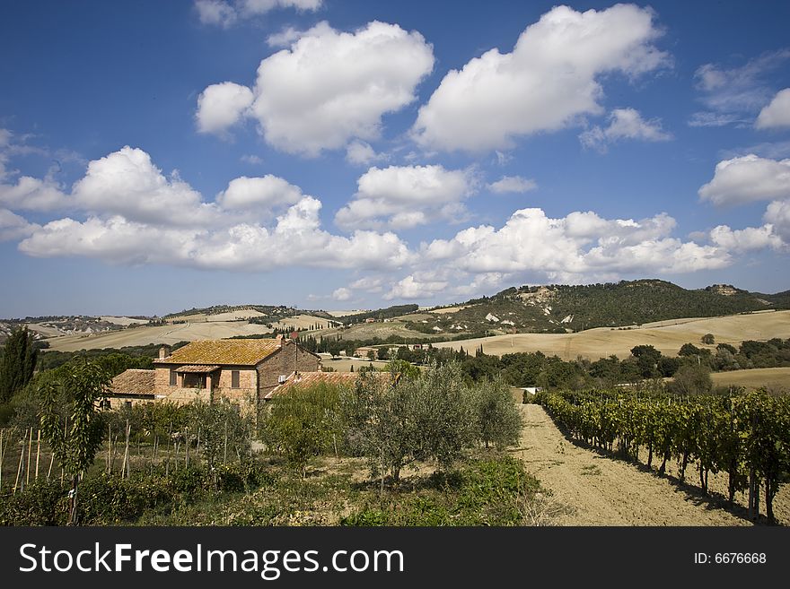 The garden of a luxury country house in the famous Tuscan hills, Italy. The garden of a luxury country house in the famous Tuscan hills, Italy.