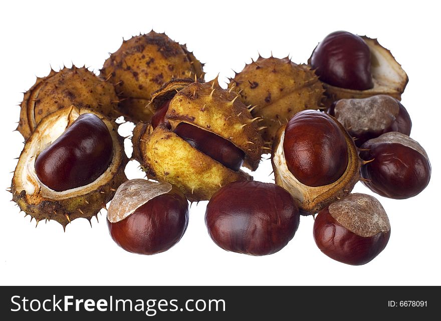 Chestnuts isolated on white close up shoot