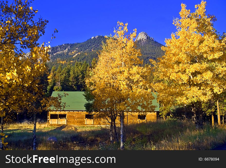 A red country barn in Colorado amongst Golden Autumn trees. A red country barn in Colorado amongst Golden Autumn trees