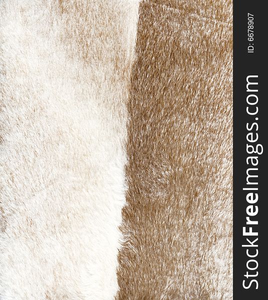 Brown and white fur texture to background