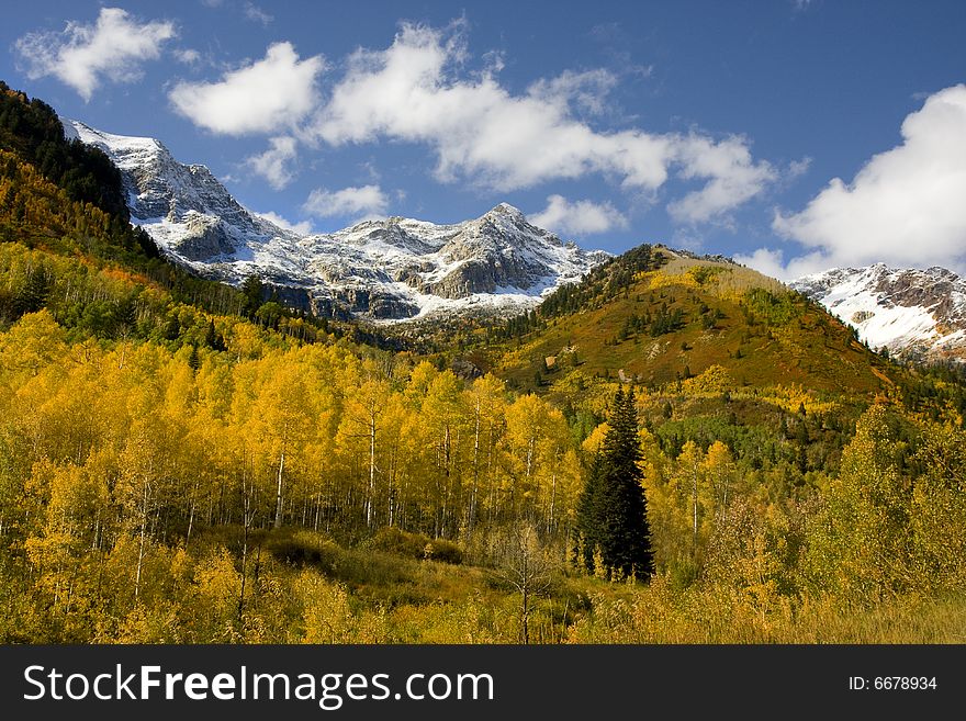 Mountain Meadow in the fall with blue skys. Mountain Meadow in the fall with blue skys