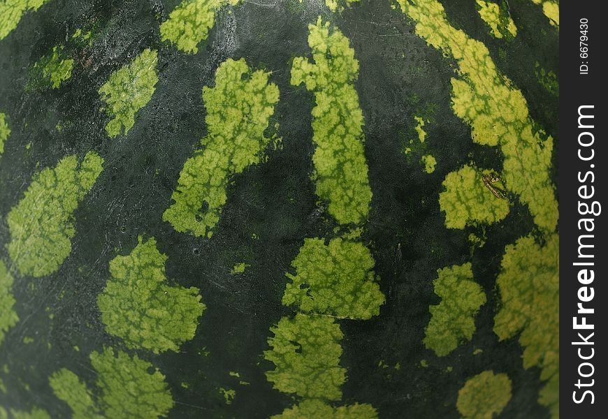 Dark green water-melon stripes background