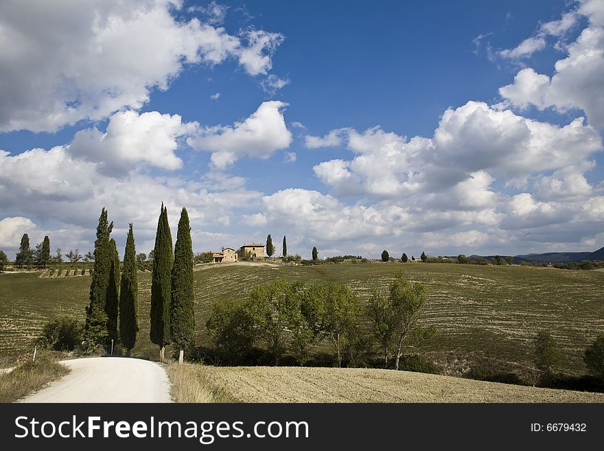 Cypress alley in a Tuscan landscape