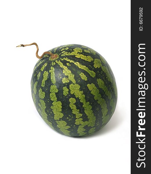 Water-melon with tendril isolated on white