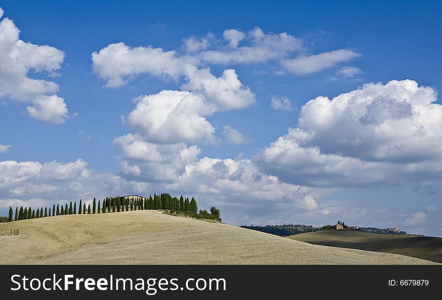 Tuscan Landscape