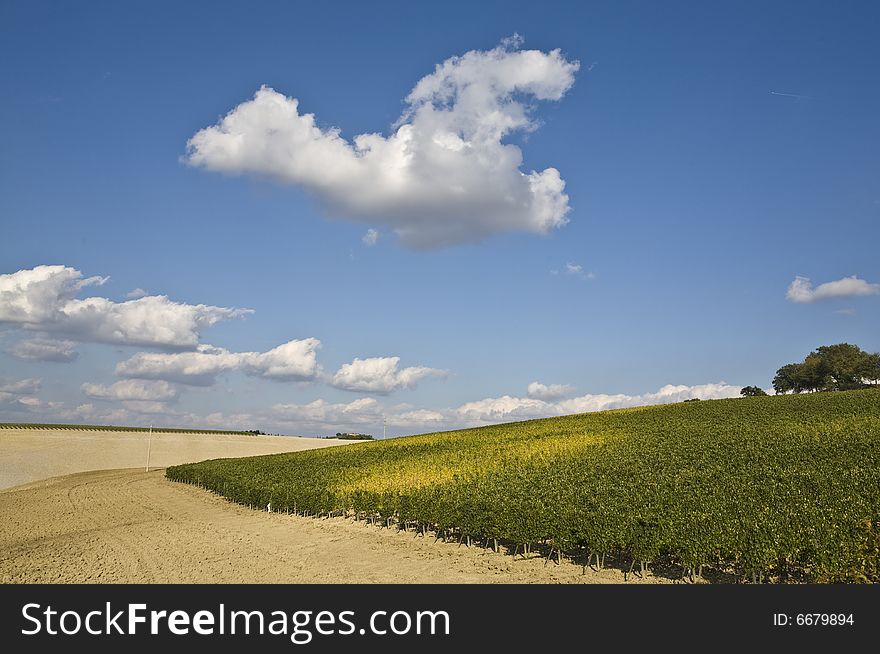 Relaxing landscape of tuscan rural area in a beautiful day. Relaxing landscape of tuscan rural area in a beautiful day