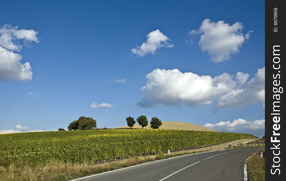 Relaxing landscape of tuscan rural area in a beautiful day. Relaxing landscape of tuscan rural area in a beautiful day