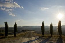 Tuscan Landscape, With Cypress Stock Photos
