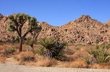Red Rock Formation Royalty Free Stock Images Red Rock Formation Royalty Free Stock Images