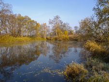 Autumn Morning Royalty Free Stock Photos Autumn Morning Royalty Free Stock Photos