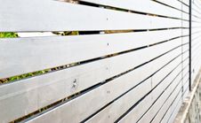 Peeping Through The Fence Stock Photography Peeping Through The Fence Stock Photography