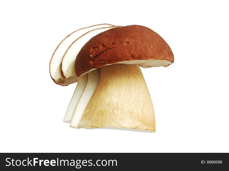 Cep slices, are isolated on a white background