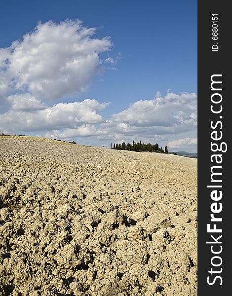 Tuscan Landscape