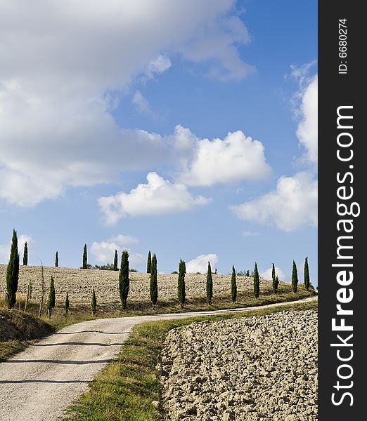 Image of a relaxing landscape in Tuscan. Image of a relaxing landscape in Tuscan