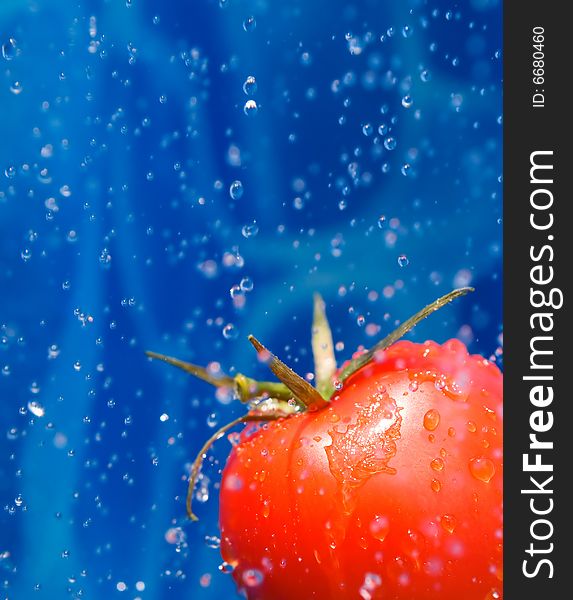 Tomato dropping ina splash of water drops. Tomato dropping ina splash of water drops