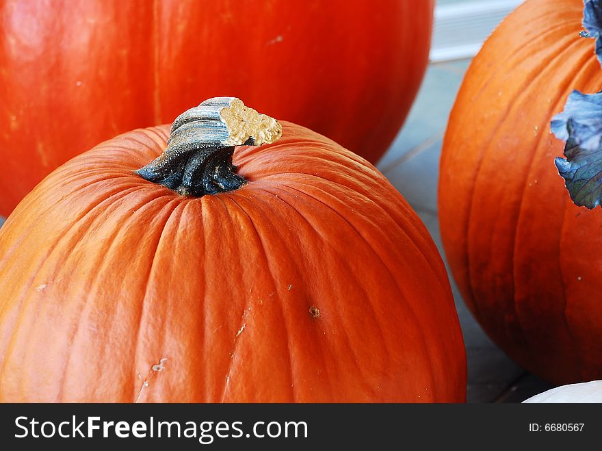 This is a shot of a few pumpkins.