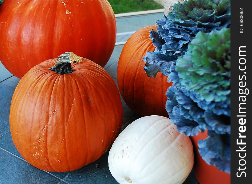 This is a shot of a few pumpkins.