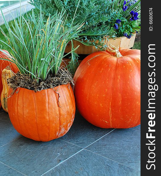 This is a shot of a few pumpkins.