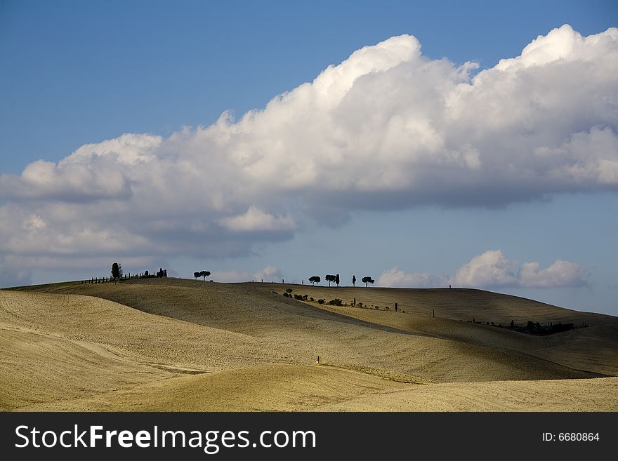 Tuscan Landscape