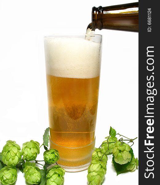 Detail beer in glass and hop-plant
