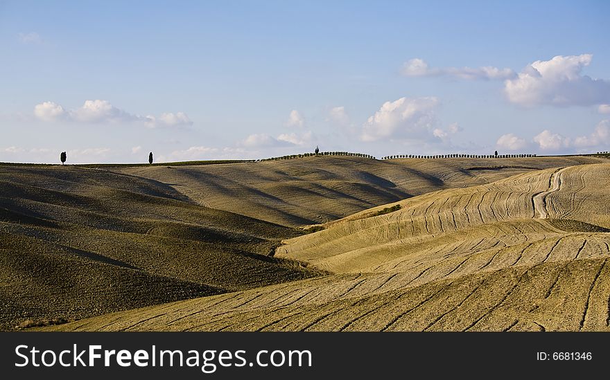 Tuscan landscape