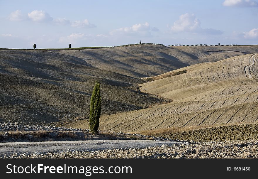 Tuscan Landscape